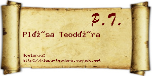 Plésa Teodóra névjegykártya